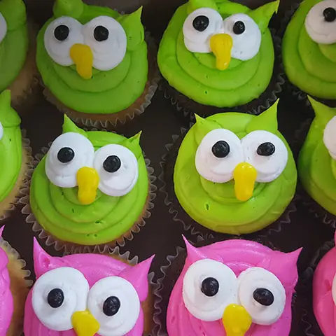 Green owl cupcakes
