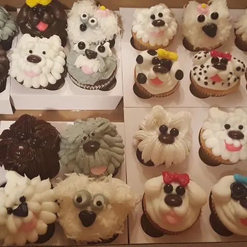 Puppy face cupcakes